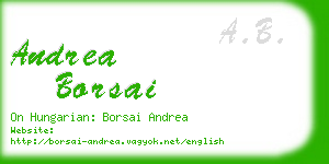 andrea borsai business card